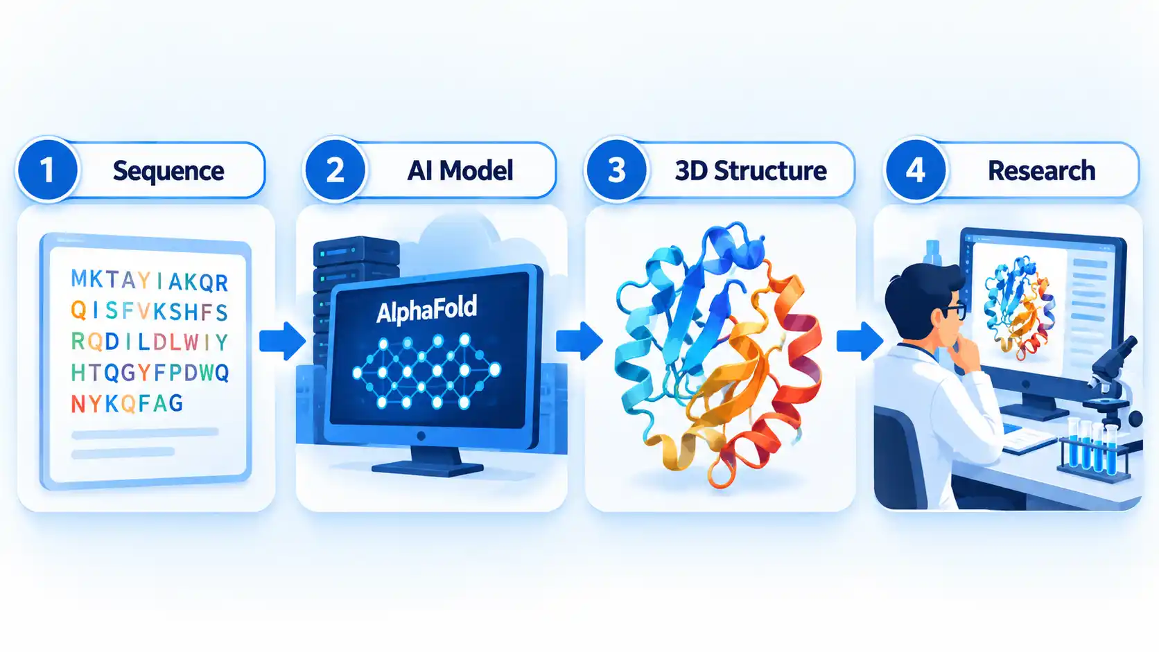 Four-step AlphaFold flow: Sequence, AI Model, 3D Structure, and Research.