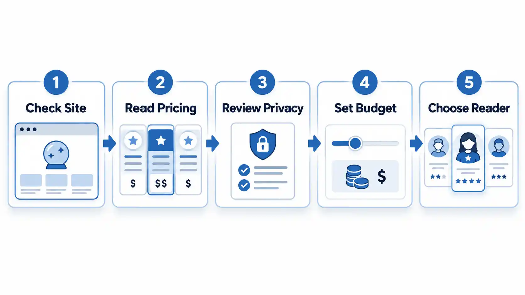 Five-step fortune site workflow: Check Site, Read Pricing, Review Privacy, Set Budget, and Choose Reader.