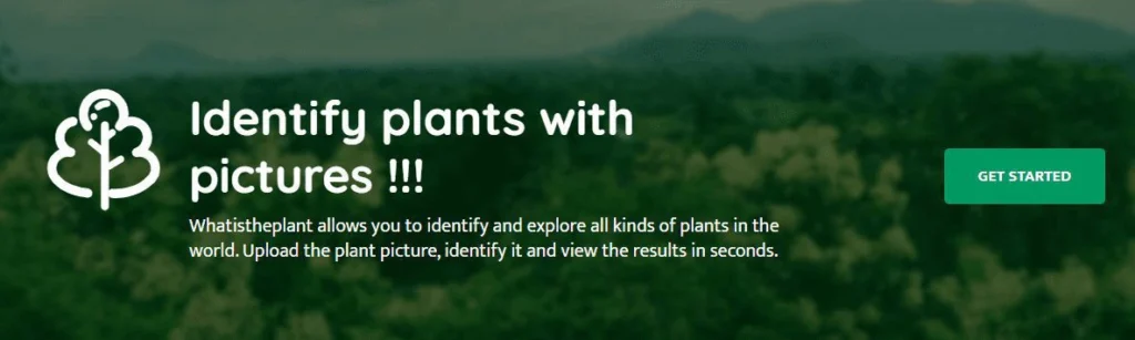 Best plant identification apps to identify plants