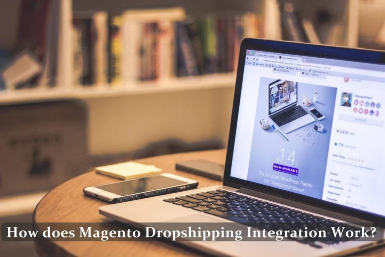 How does Magento Dropshipping Integration Work?