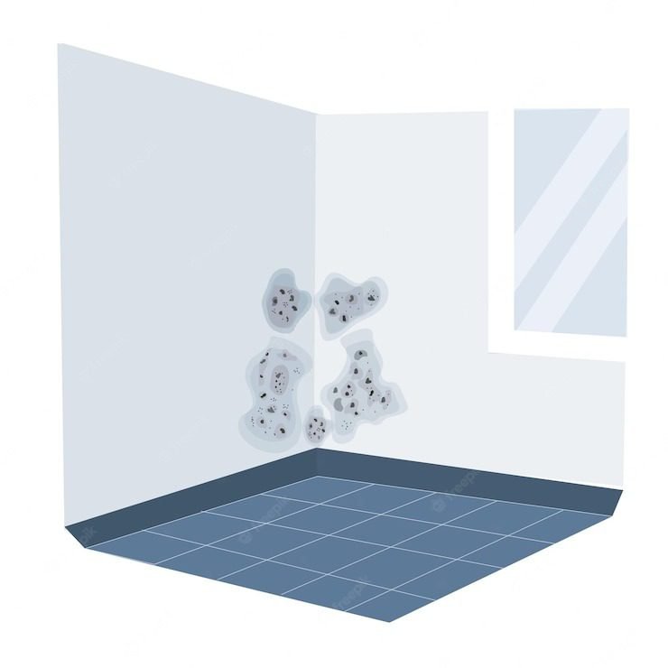 what-should-i-replace-after-water-damage-mold-growth