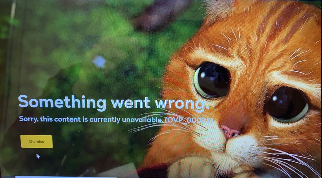 Peacock TV Something Went Wrong Issue