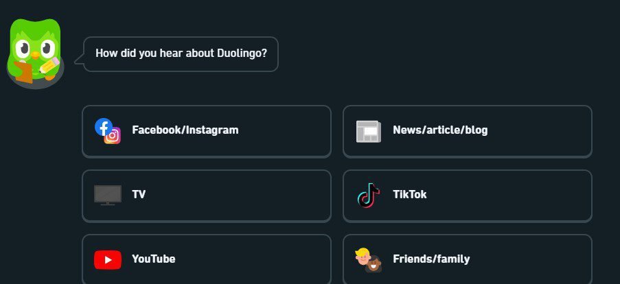 DuoLingo Online Learning Platform